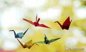 increase什么意思(2)