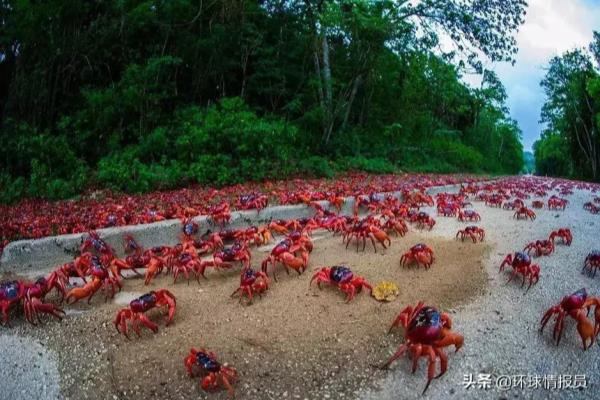 圣诞岛在哪里,哪个地区.