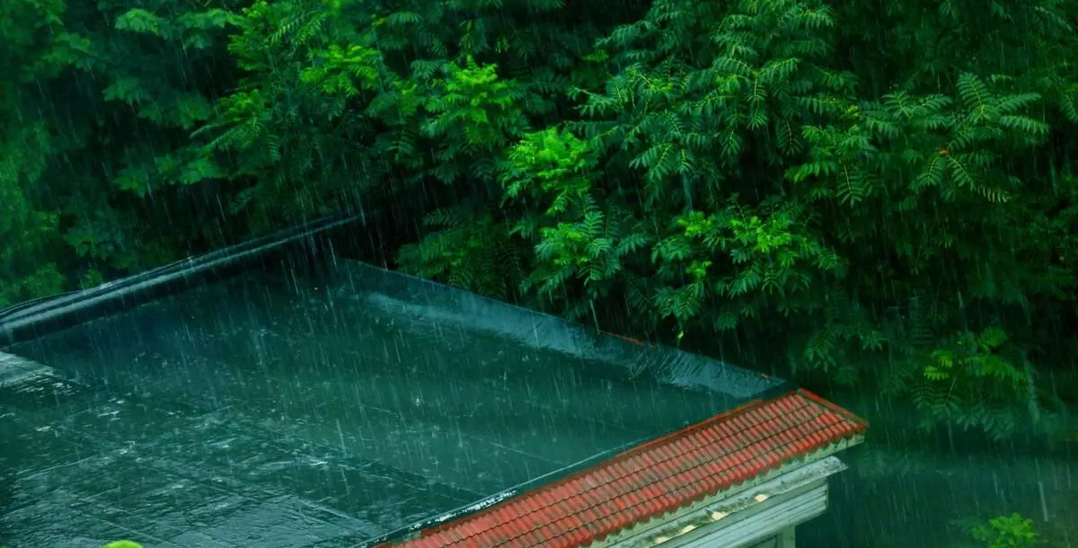 氮气是往上飘还是往下沉(4)