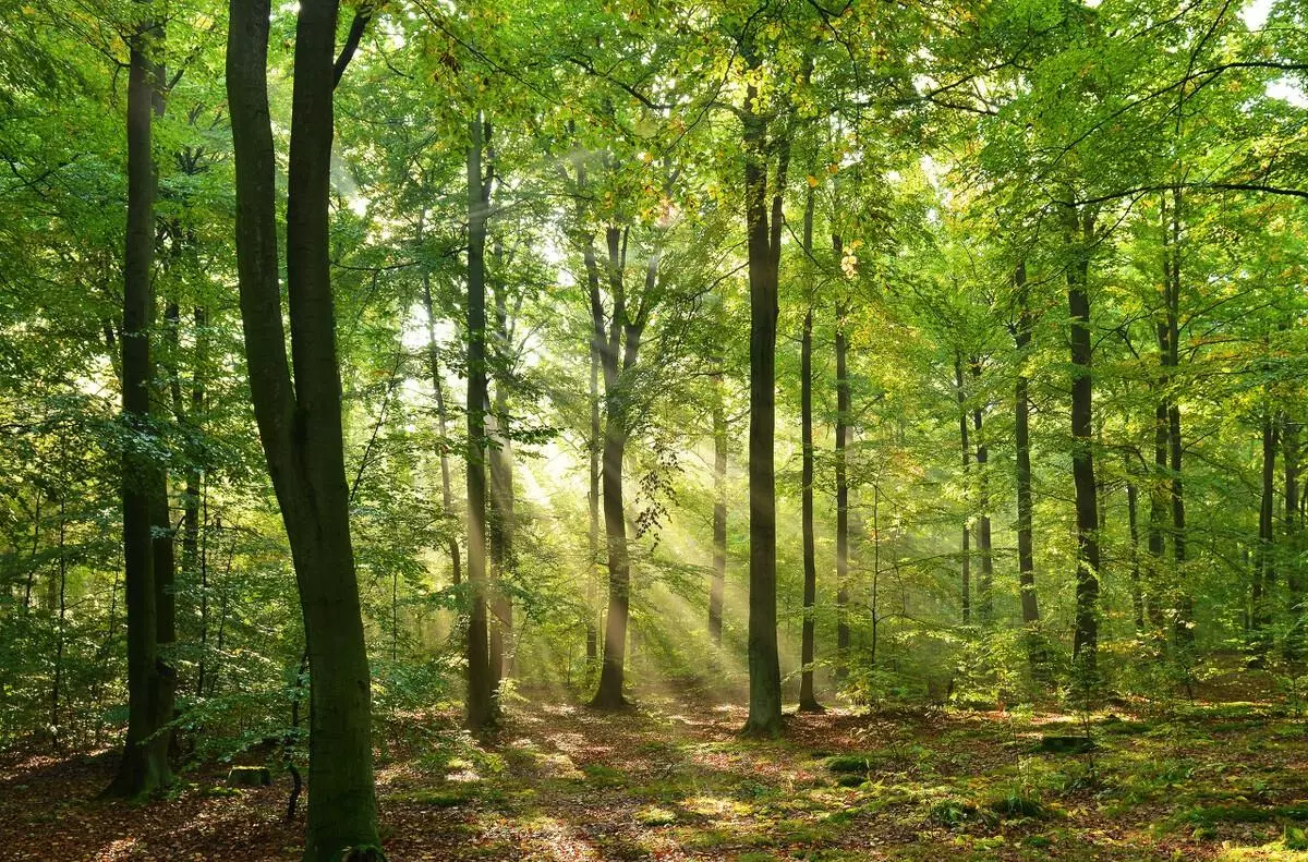 氮气是往上飘还是往下沉(5)