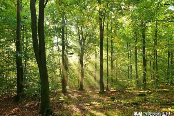 氮气是往上飘还是往下沉.