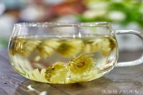 甘菊花和杭白菊的区别.