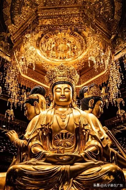 36年属什么生肖今年几岁(8)