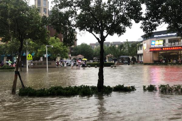 新乡暴雨是哪一年.