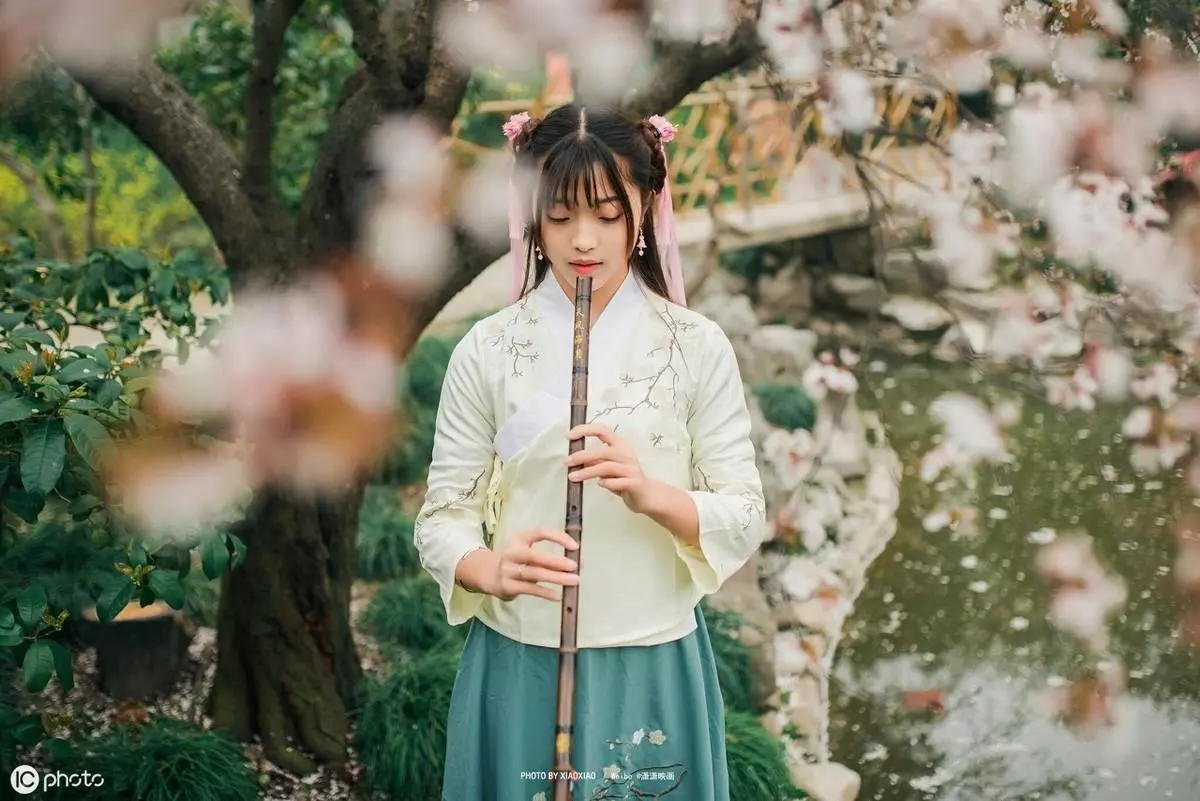弃妇诗是什么意思(3)