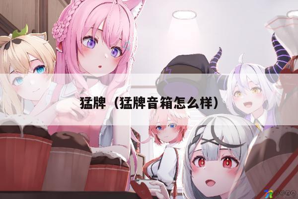 意力403音箱属于什么档次.