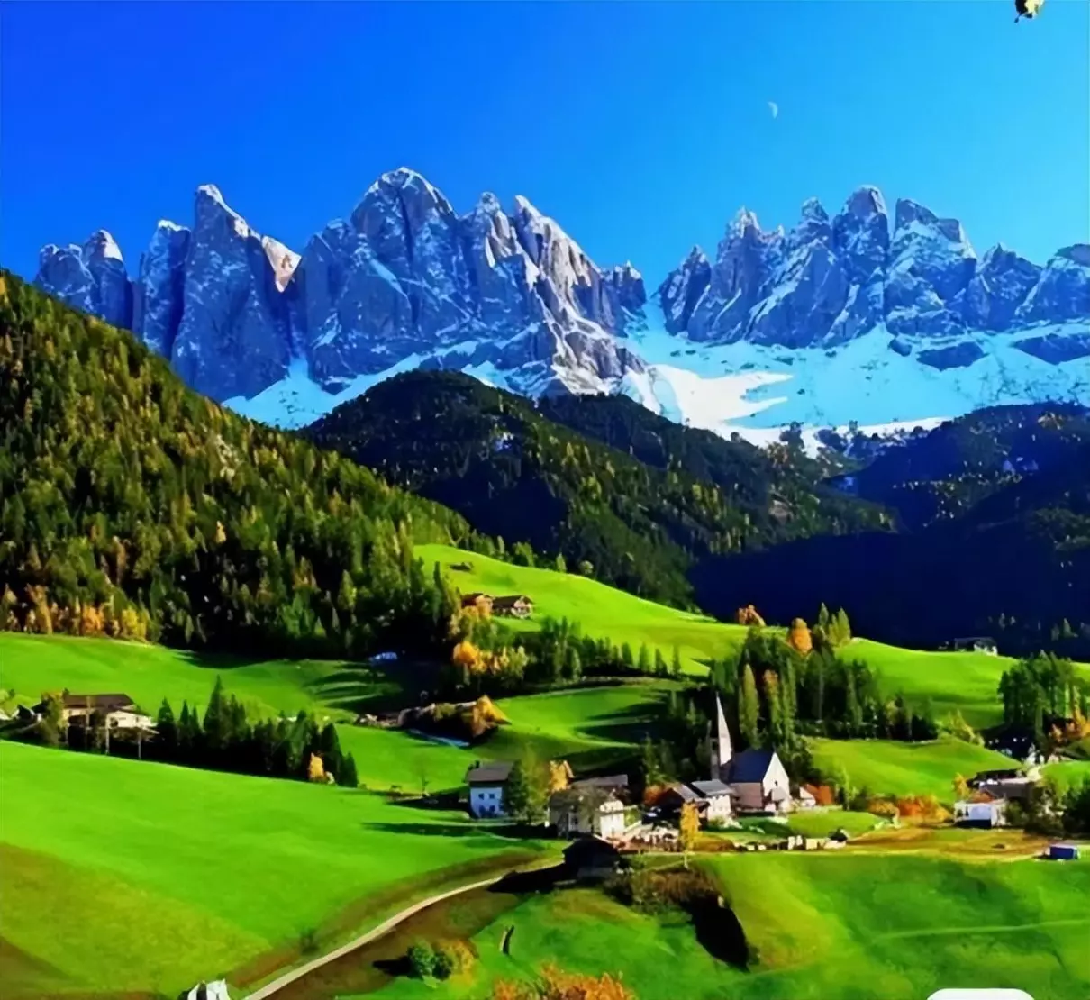 加拿大2023年旅游签证率高吗(4)