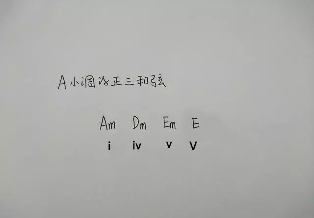 d和声小调音阶升哪几个音(12)