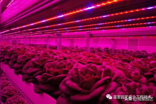 400w高压钠灯相当于多少LED.