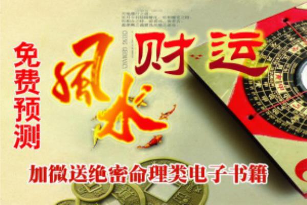 1313数字能量磁场.