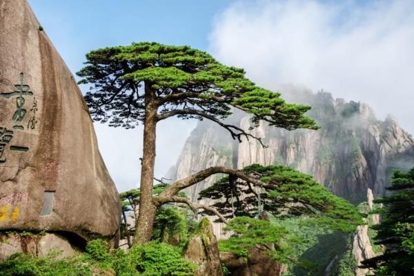 去安徽黄山旅游费用.