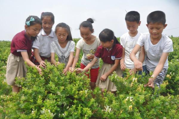孩子夏令营朋友圈怎么发.