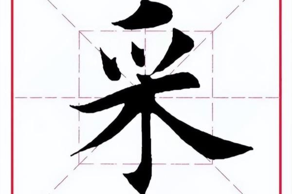 采的拼音怎么读音.