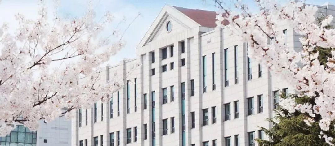 釜山广域市有什么大学(12)