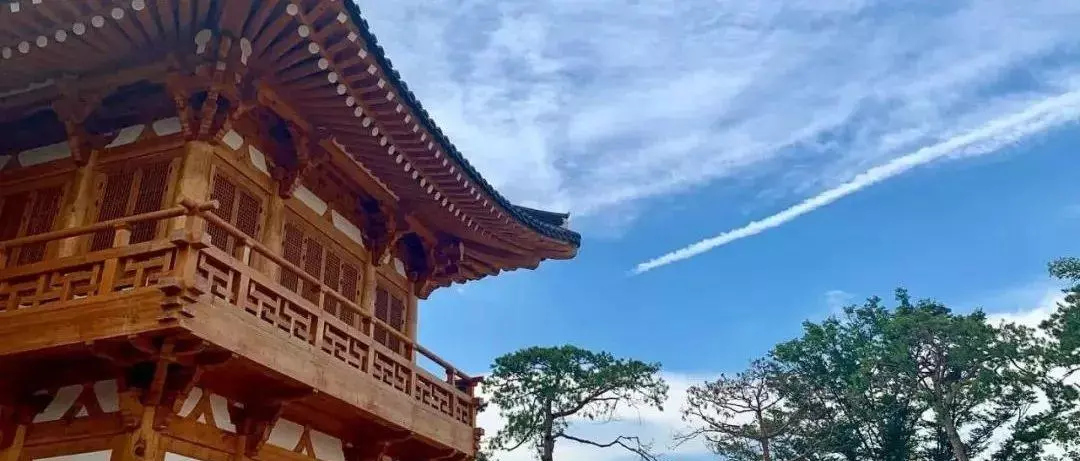 釜山广域市有什么大学(6)