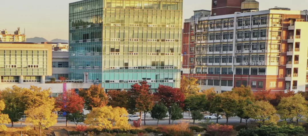 釜山广域市有什么大学(7)