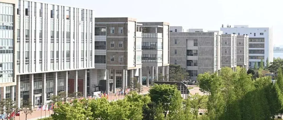 釜山广域市有什么大学(8)