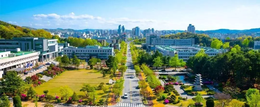 釜山广域市有什么大学(9)