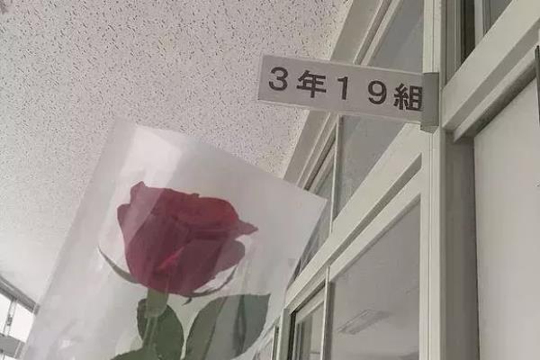 久别重逢的朋友相聚的句子.