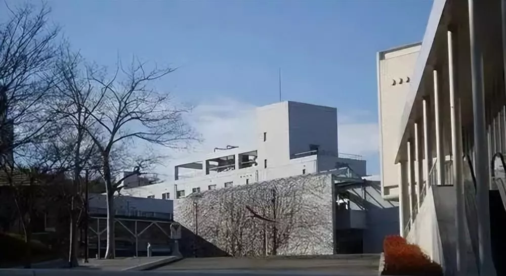 日本学动漫最好的学校(7)