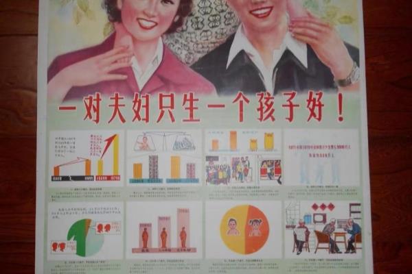 家怀国情是什么意思.