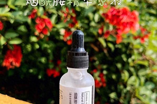 臻元精华液可以美白吗.
