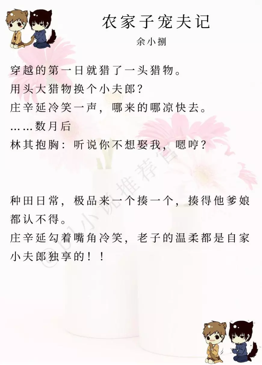 穿越之家有小夫郎讲什么故事(1)