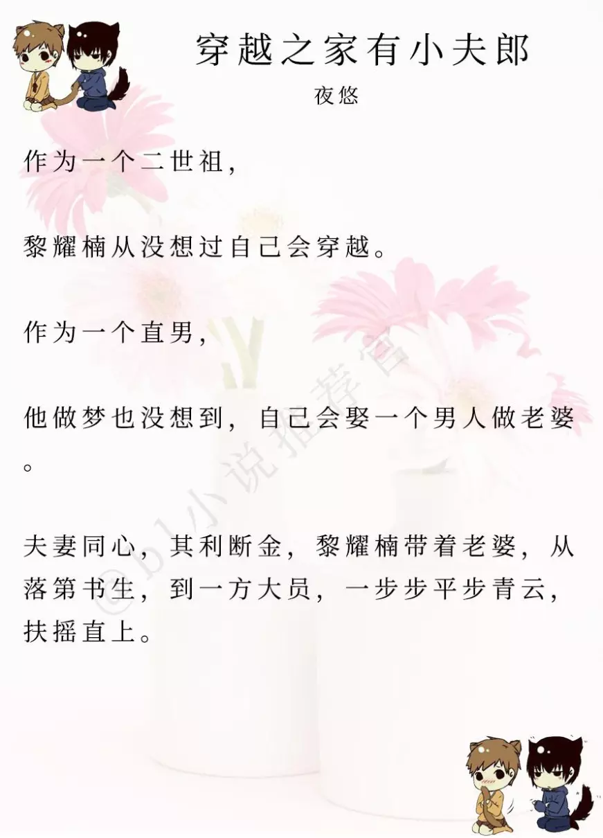 穿越之家有小夫郎讲什么故事(5)