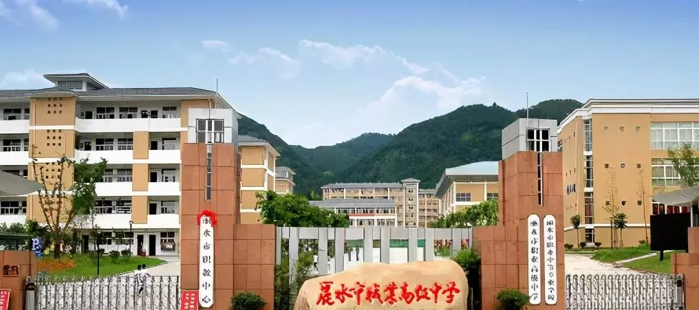 金华艺术学校是职高吗(3)