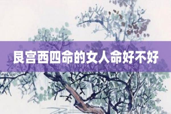 艮命西四命女人好不好.