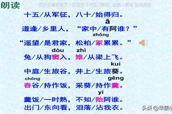 十五从军征读a还是e.