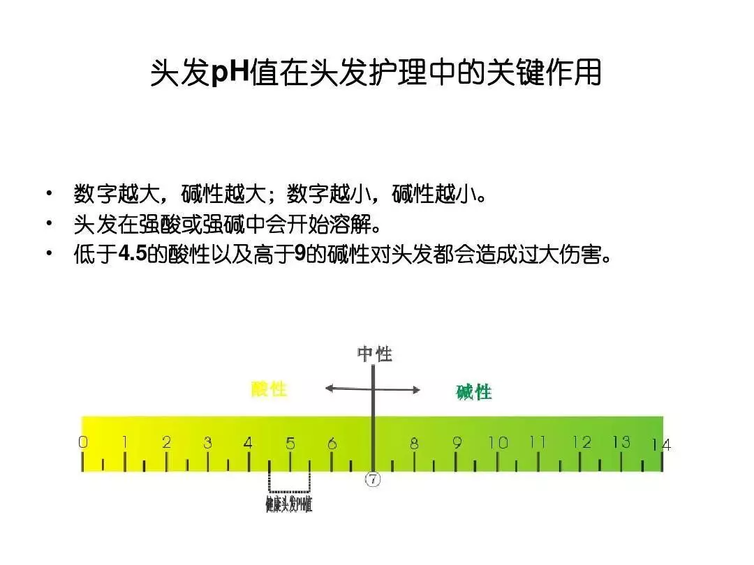 头发是怎么形成的 毛发生理学(3)