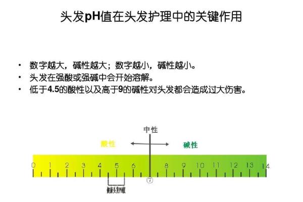 头发是怎么形成的 毛发生理学.