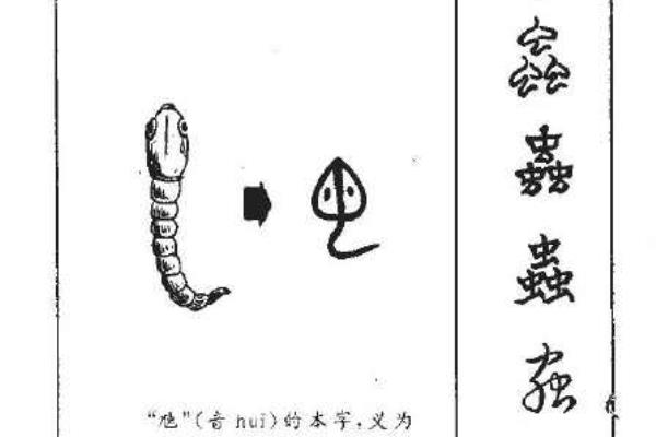 虫加偏旁组词是什么字啊.