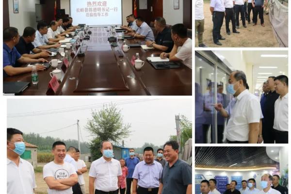 博丹集团董事长叫什么名字.