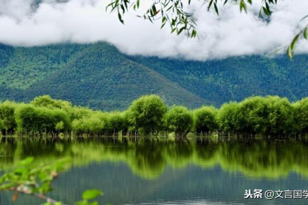 把酒话桑麻上一句是什么意思.