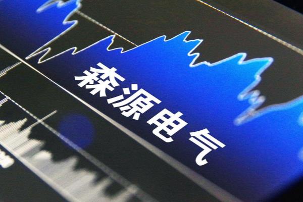 森源电气股票能否长期持有.