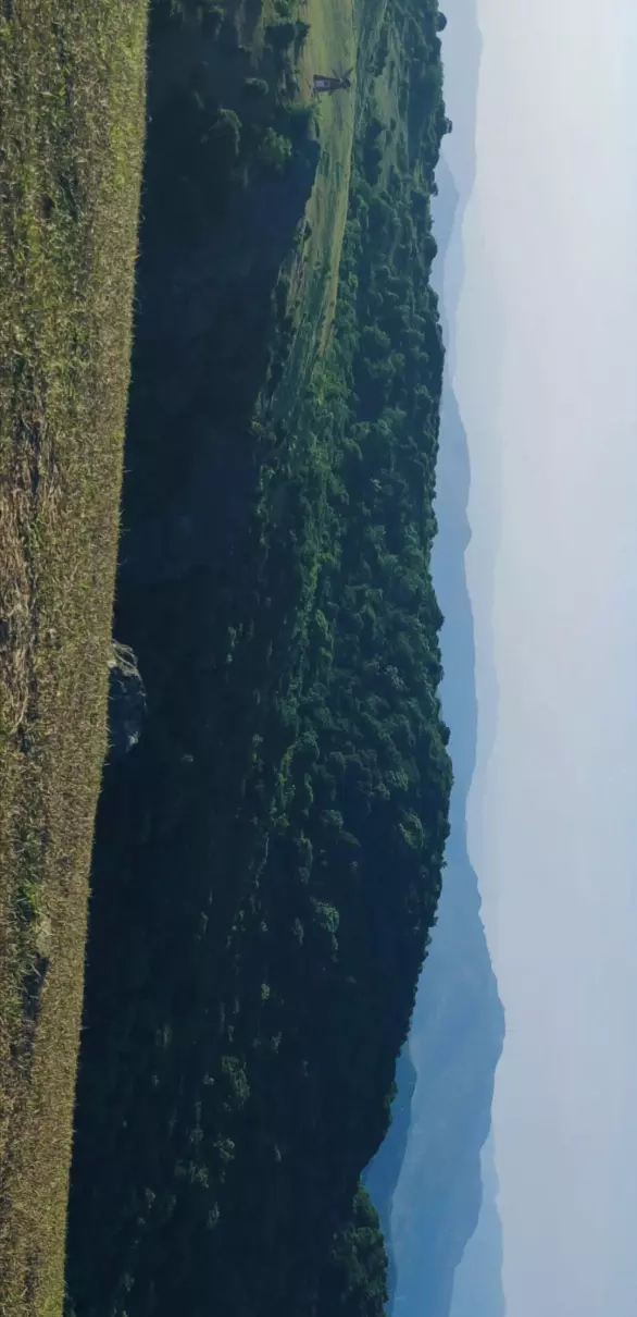 大姆山草场几月份去是绿色的(15)