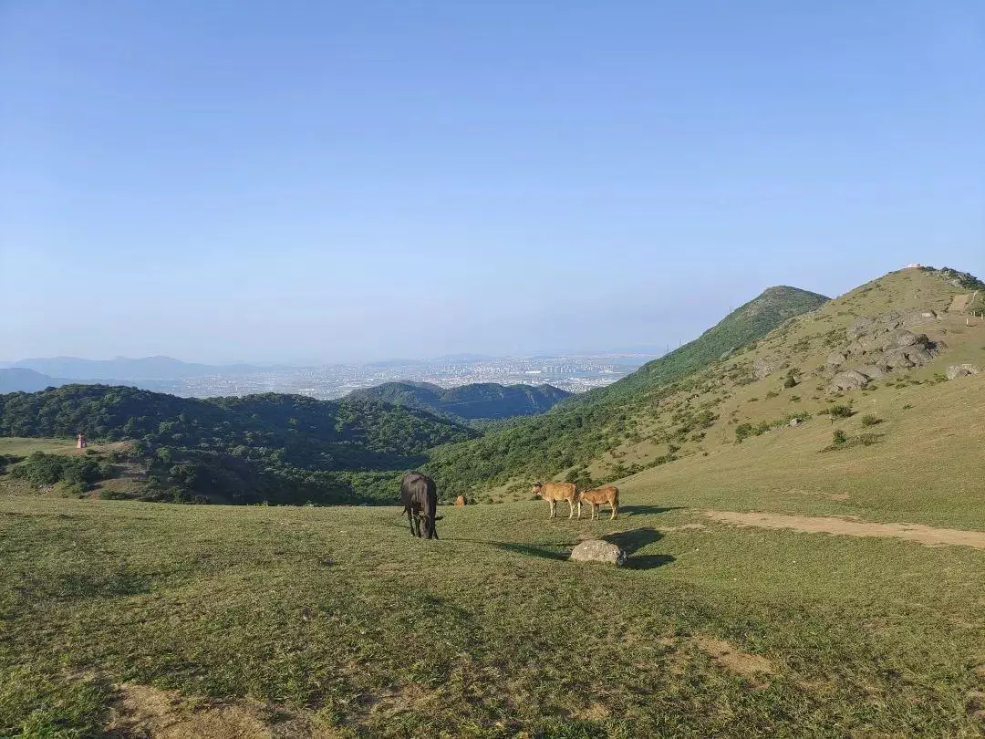 大姆山草场几月份去是绿色的(6)