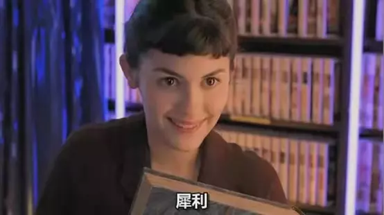 天使爱美丽讲的是什么(5)