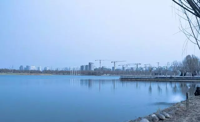 武清区房价大概在什么价位(4)