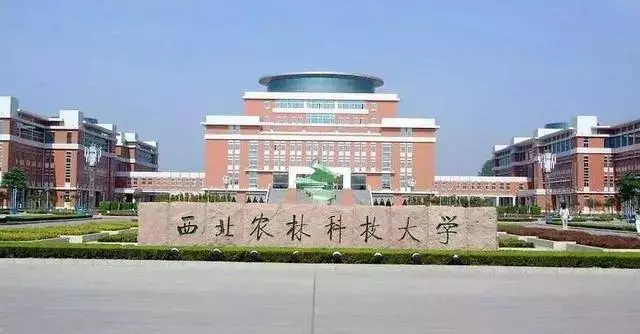 西安军事学院是985还是211(22)