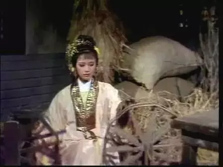 85版八仙过海秀秀的扮演者(8)