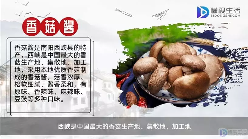 南阳特产有哪些好吃的能带走(3)