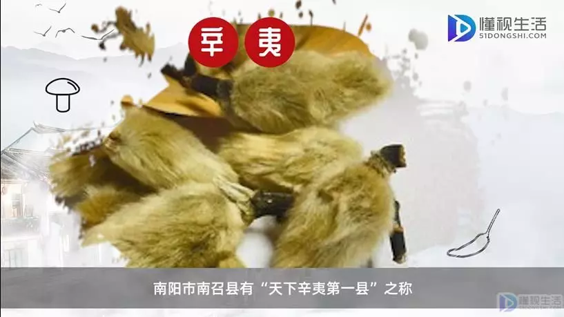 南阳特产有哪些好吃的能带走(5)