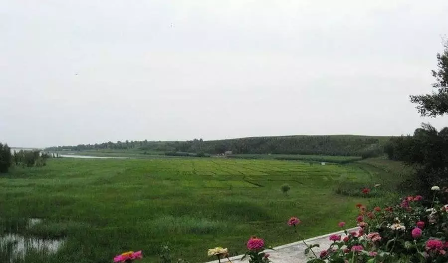 松原市属于是长春市吗(4)