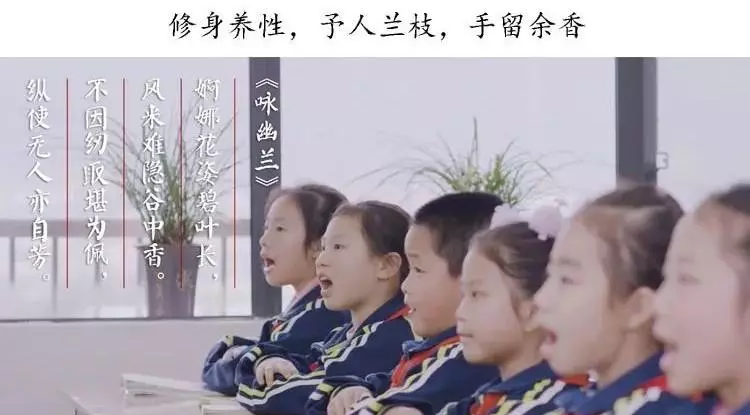 兰花传奇是什么品种(3)