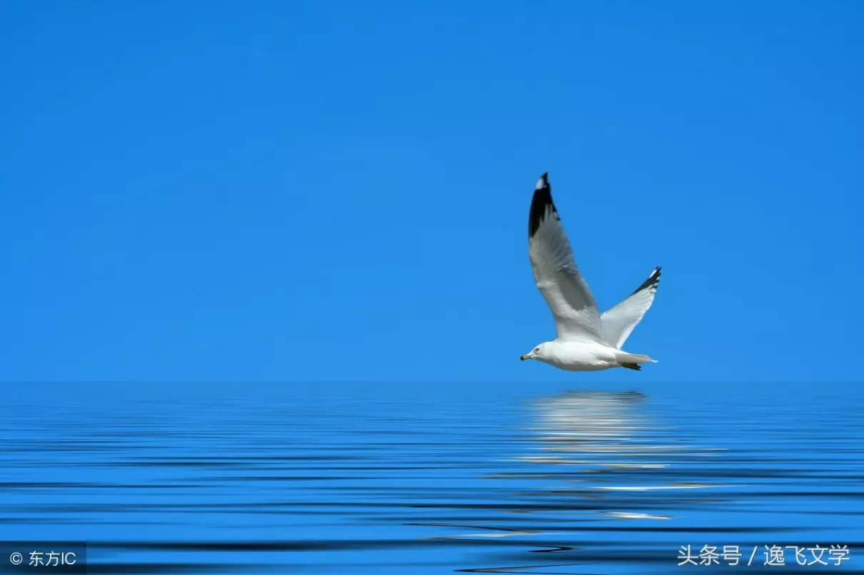 远方文学到底怎么样,效果好吗(3)