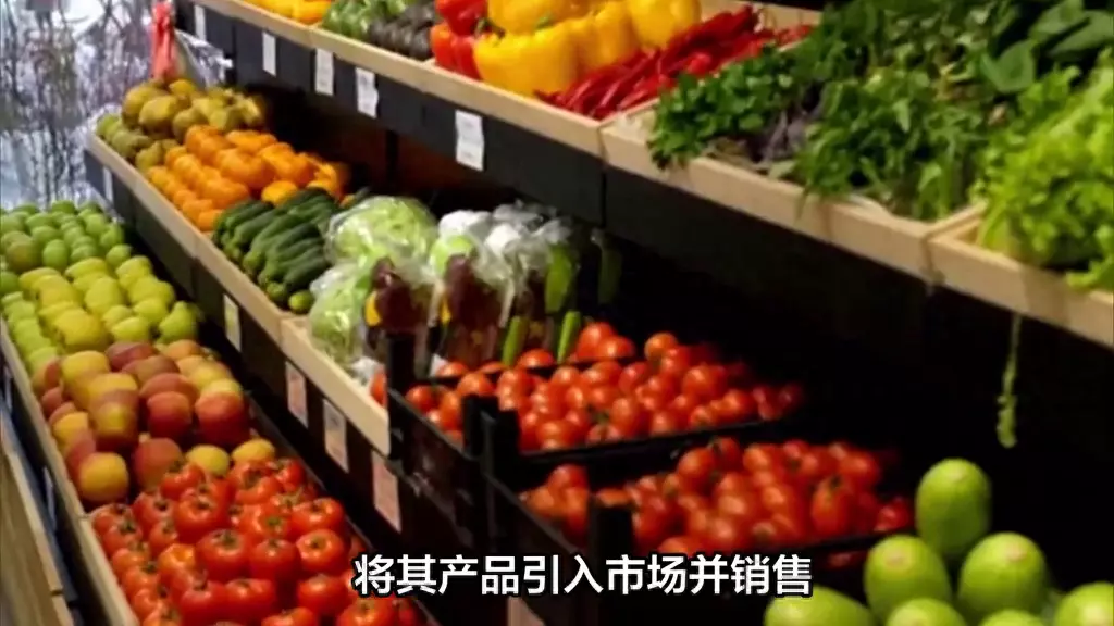 分销是什么意思 分销和代理的区别(1)