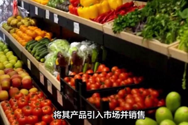 分销是什么意思 分销和代理的区别.